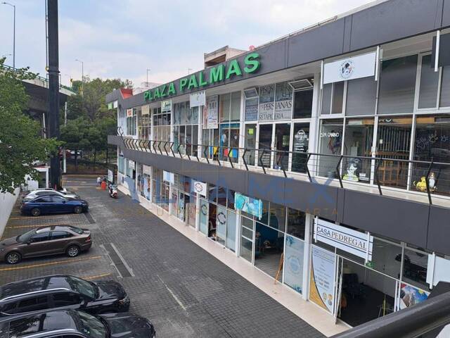 #25 - Piso Comercial para Renta en Ciudad de México - DF - 1