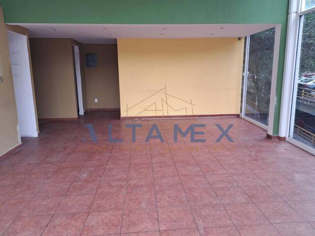 #25 - Piso Comercial para Renta en Ciudad de México - DF - 3